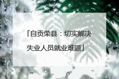 自贡荣县：切实解决失业人员就业难题