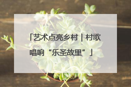 艺术点亮乡村｜村歌唱响“乐圣故里”
