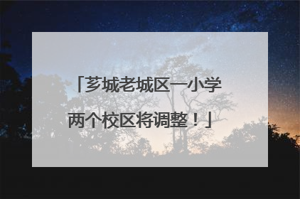 芗城老城区一小学两个校区将调整！