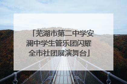 芜湖市第二中学安澜中学生管乐团闪耀全市社团展演舞台