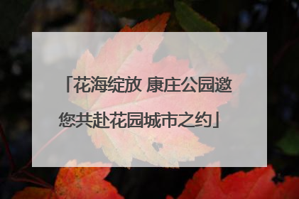 花海绽放 康庄公园邀您共赴花园城市之约