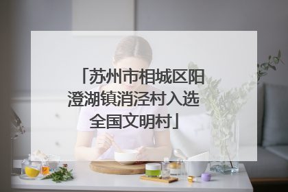 苏州市相城区阳澄湖镇消泾村入选全国文明村