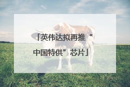 英伟达拟再推“中国特供”芯片