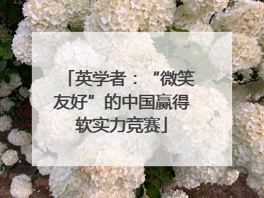 英学者：“微笑友好”的中国赢得软实力竞赛