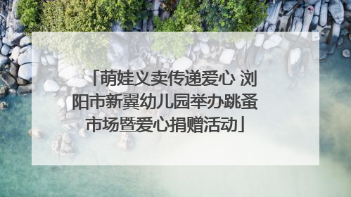 萌娃义卖传递爱心 浏阳市新翼幼儿园举办跳蚤市场暨爱心捐赠活动