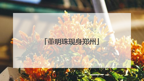 董明珠现身郑州