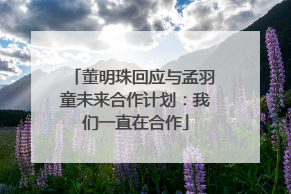 董明珠回应与孟羽童未来合作计划：我们一直在合作