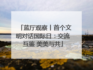 蓝厅观察丨首个文明对话国际日：交流互鉴 美美与共