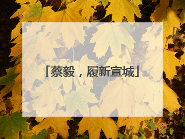 蔡毅，履新宣城