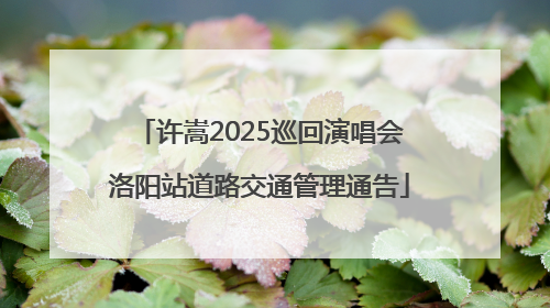 许嵩2025巡回演唱会洛阳站道路交通管理通告