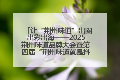 让“荆州味道”出圈出彩出海——2025荆州味道品牌大会暨第四届“荆州味道就是抖味”短视频挑战赛启动仪式侧记