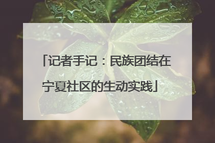 记者手记：民族团结在宁夏社区的生动实践