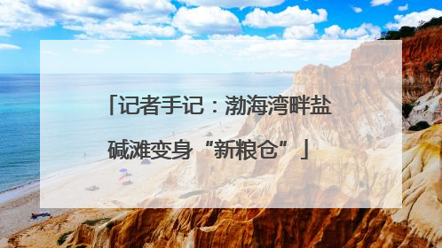 记者手记：渤海湾畔盐碱滩变身“新粮仓”