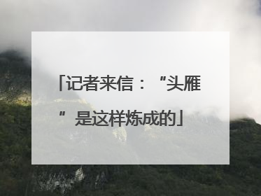 记者来信：“头雁”是这样炼成的