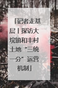 记者走基层丨探访大垸镇和丰村土地“三统一分”运营机制