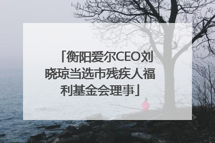 衡阳爱尔CEO刘晓琼当选市残疾人福利基金会理事