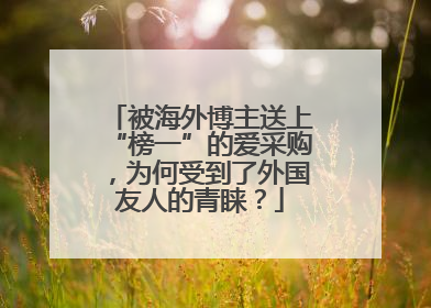 被海外博主送上“榜一”的爱采购，为何受到了外国友人的青睐？
