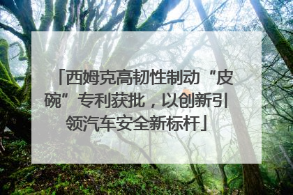 西姆克高韧性制动“皮碗”专利获批，以创新引领汽车安全新标杆