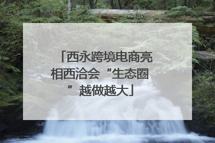 西永跨境电商亮相西洽会“生态圈”越做越大