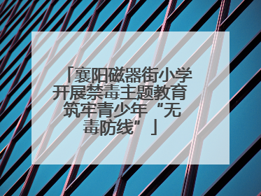 襄阳磁器街小学开展禁毒主题教育 筑牢青少年“无毒防线”