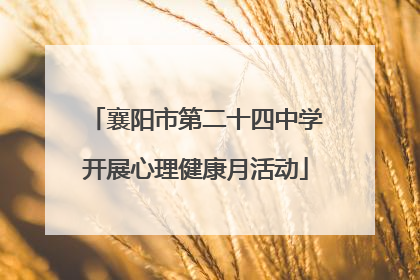 襄阳市第二十四中学开展心理健康月活动