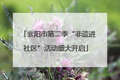 襄阳市第二季“非遗进社区”活动盛大开启