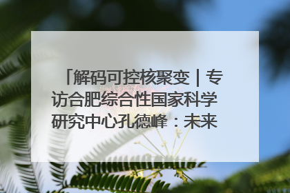 解码可控核聚变｜专访合肥综合性国家科学研究中心孔德峰：未来电费降至足够低时，工厂有望代替农田产粮