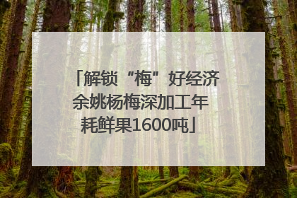 解锁“梅”好经济 余姚杨梅深加工年耗鲜果1600吨