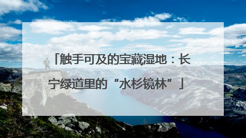 触手可及的宝藏湿地：长宁绿道里的“水杉镜林”