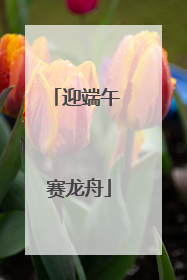 迎端午 赛龙舟