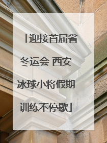 迎接首届省冬运会 西安冰球小将假期训练不停歇
