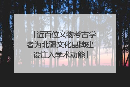 近百位文物考古学者为北疆文化品牌建设注入学术动能