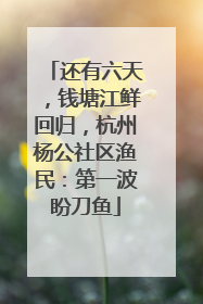 还有六天，钱塘江鲜回归，杭州杨公社区渔民：第一波盼刀鱼