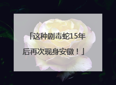 这种剧毒蛇15年后再次现身安徽！