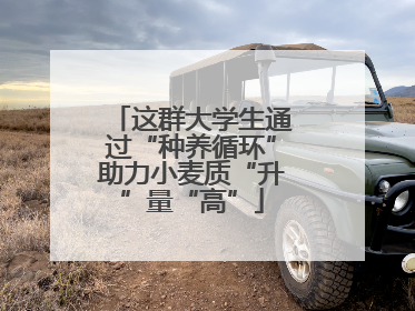 这群大学生通过“种养循环”助力小麦质“升”量“高”