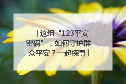 这组“123平安密码”，如何守护群众平安？一起探寻
