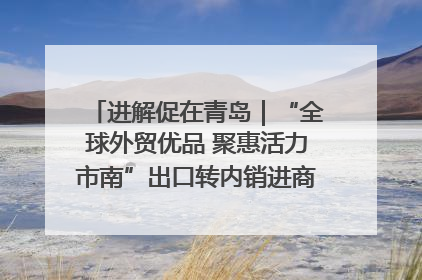进解促在青岛｜“全球外贸优品 聚惠活力市南”出口转内销进商超专场活动启动