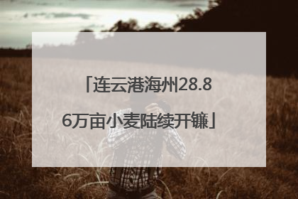 连云港海州28.86万亩小麦陆续开镰