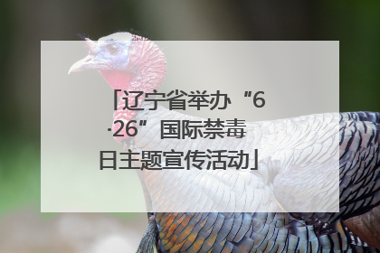 辽宁省举办“6·26”国际禁毒日主题宣传活动