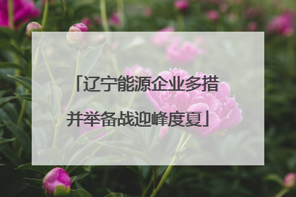 辽宁能源企业多措并举备战迎峰度夏
