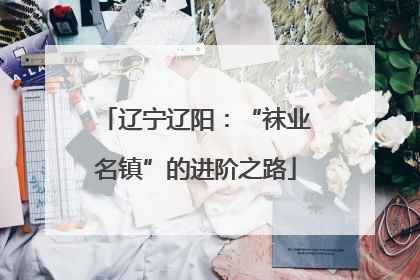 辽宁辽阳：“袜业名镇”的进阶之路