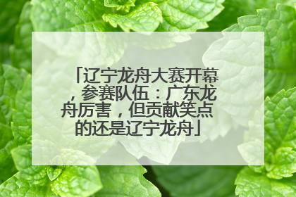 辽宁龙舟大赛开幕，参赛队伍：广东龙舟厉害，但贡献笑点的还是辽宁龙舟