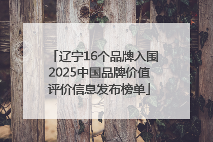 辽宁16个品牌入围2025中国品牌价值评价信息发布榜单