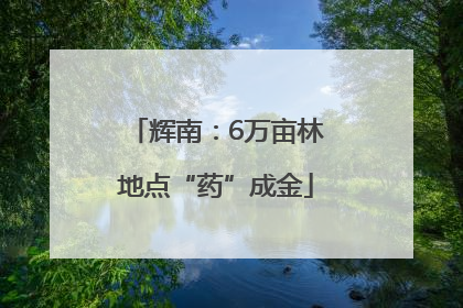 辉南：6万亩林地点“药”成金