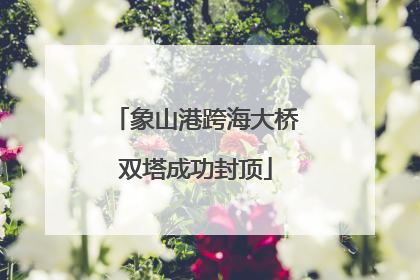 象山港跨海大桥双塔成功封顶