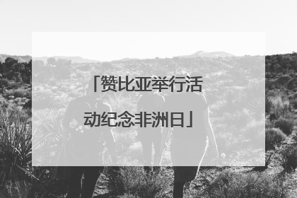 赞比亚举行活动纪念非洲日