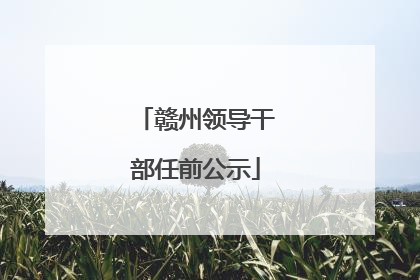 赣州领导干部任前公示