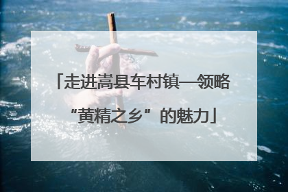 走进嵩县车村镇—领略“黄精之乡”的魅力