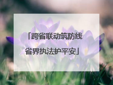 跨省联动筑防线 省界执法护平安