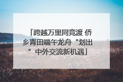 跨越万里同竞渡 侨乡青田端午龙舟“划出”中外交流新机遇